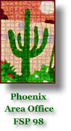Phoenix Area Office Plan