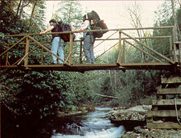 Hikers on a foot bridge